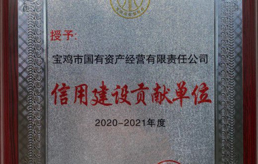 市國(guó)資公司榮獲 “2020—2021年信用建設(shè)貢獻(xiàn)單位”獎(jiǎng)